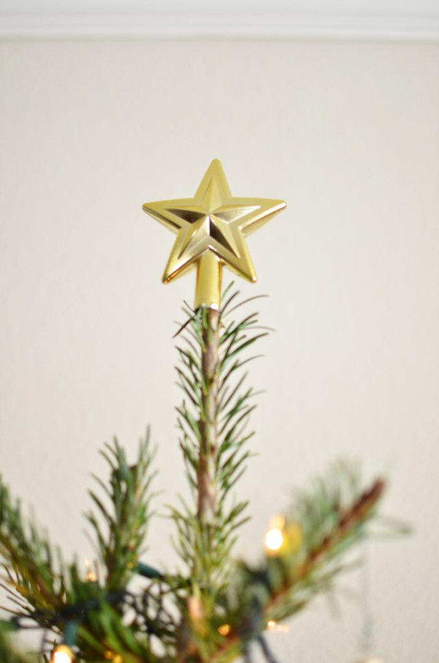 gold star on top of christmas tree
