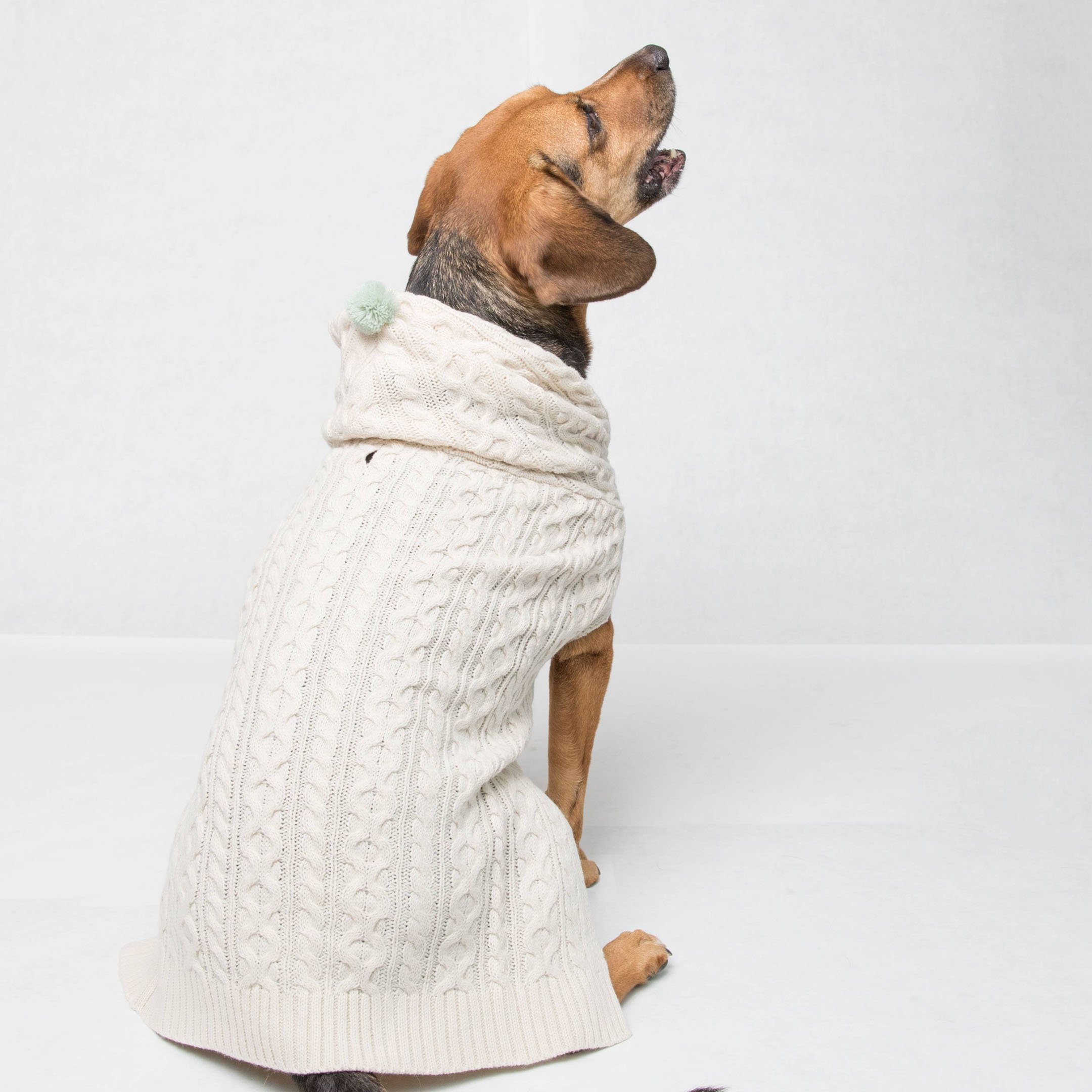 with & delight dog cable knit sweater