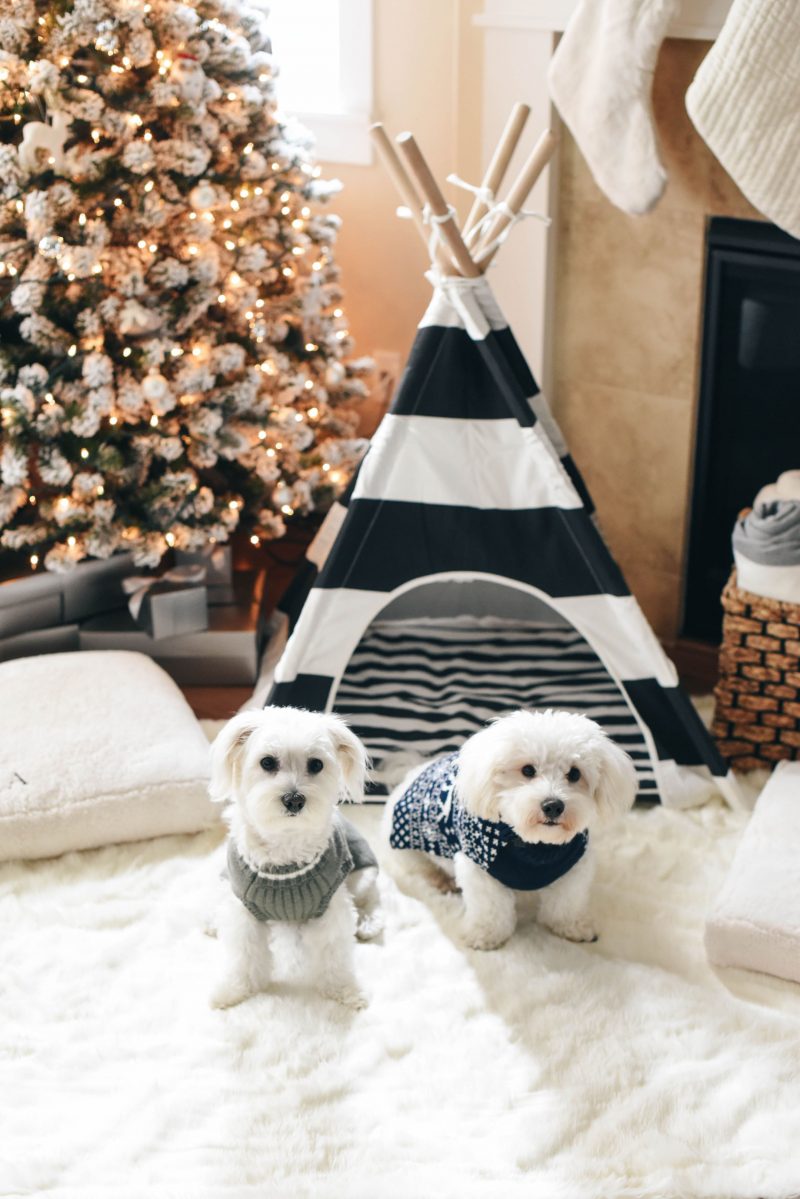 the best dog gifts